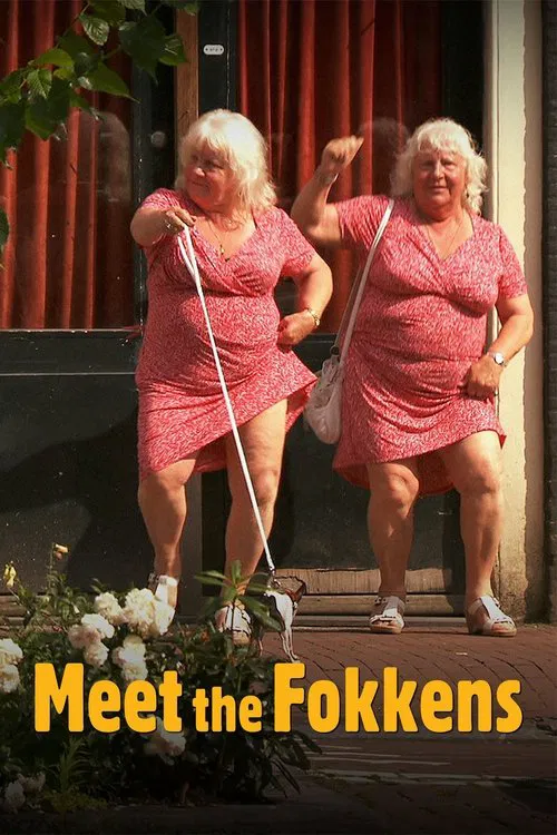Meet the Fokkens movie poster