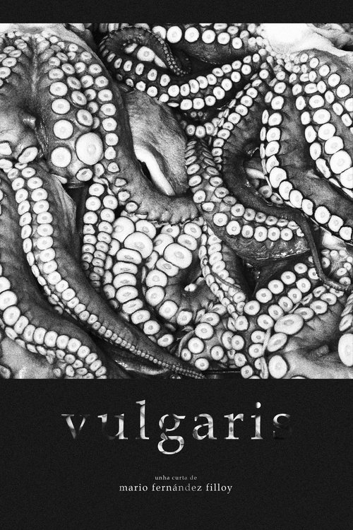 Vulgaris movie poster