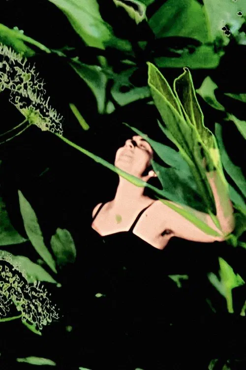 Birth of the Alseides movie poster