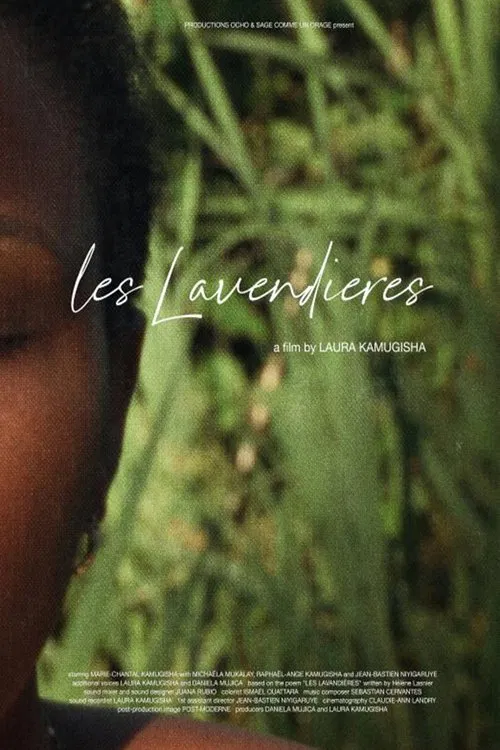 Poster do filme Les Lavandières