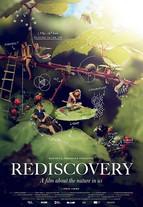 Rediscovery movie poster
