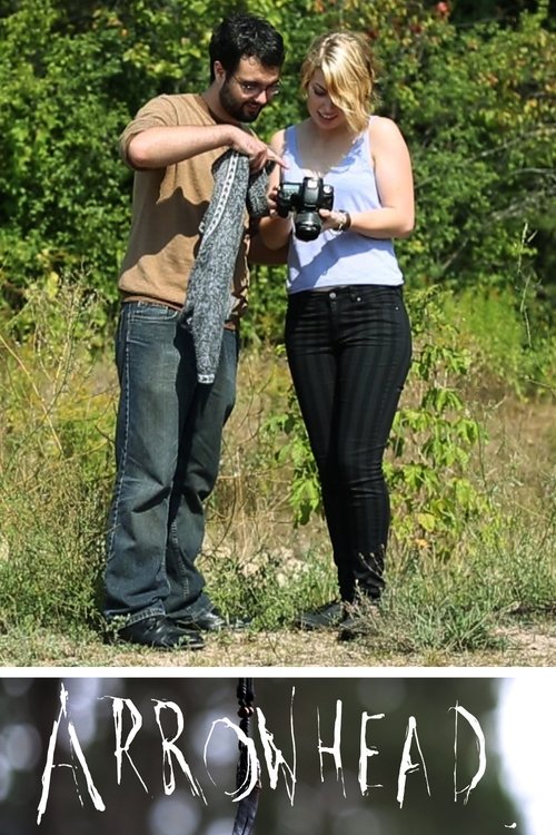 Poster do filme Arrowhead