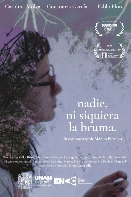 Nobody, Not Even the Mist movie poster