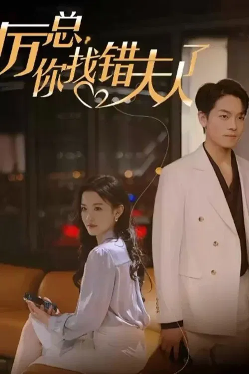 厉总，你找错夫人了 tv show poster