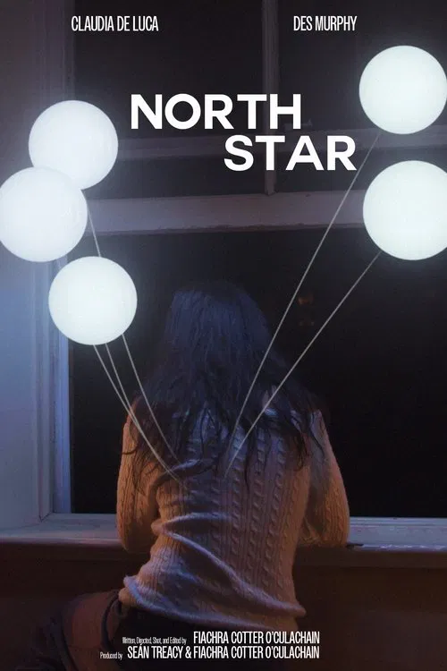 Poster do filme North Star