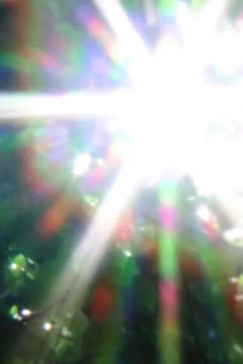 you can't plan a perfect day sometimes it just happens movie poster