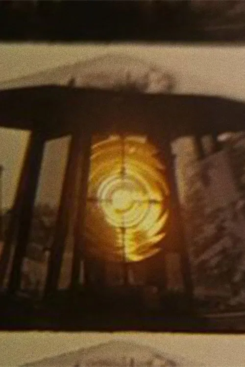 Signals movie poster