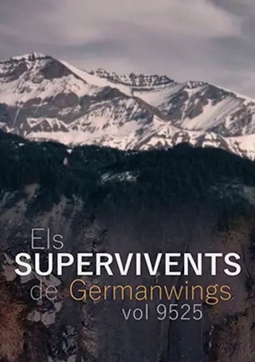 Els supervivents del vol 9525 de Germanwings movie poster