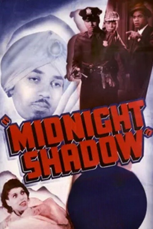 Poster do filme Midnight Shadow