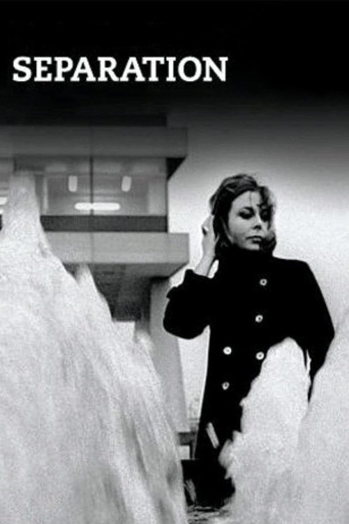 Poster do filme Separation