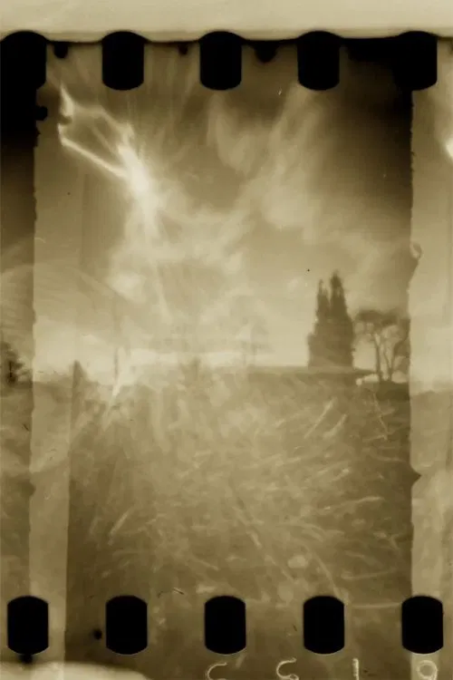 Pinhole Park movie poster