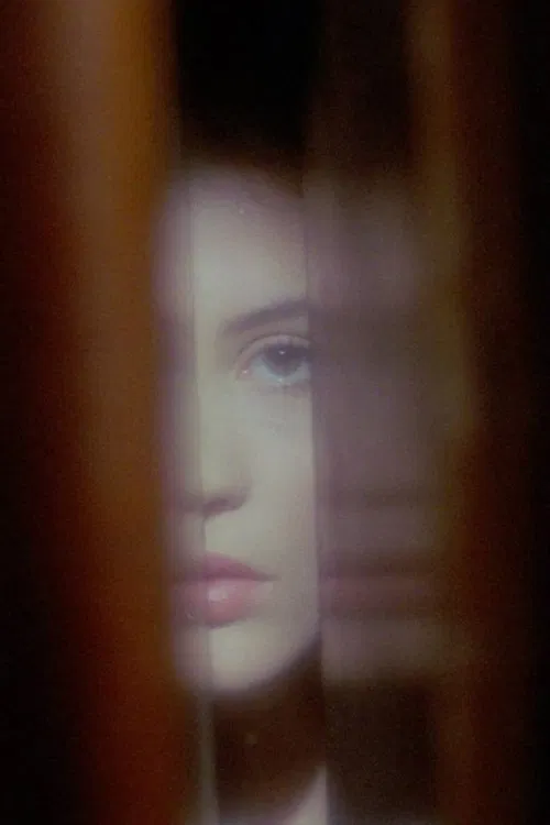 Phantasmagoria of the Interior movie poster