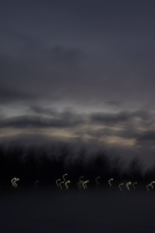 i heard the geese cry movie poster