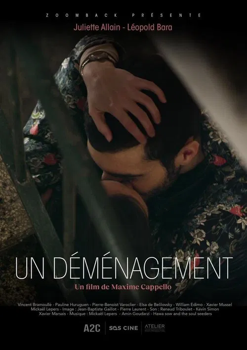 Un déménagement movie poster