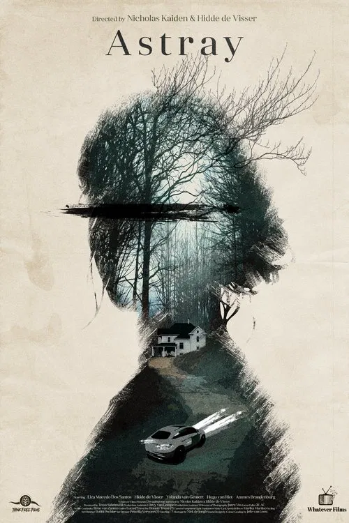 Astray movie poster
