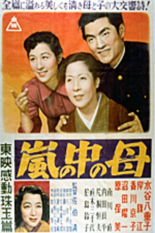 Man in the Storm movie poster
