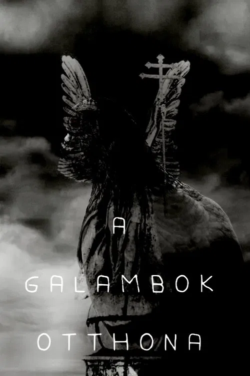 Home of Pigeons movie poster