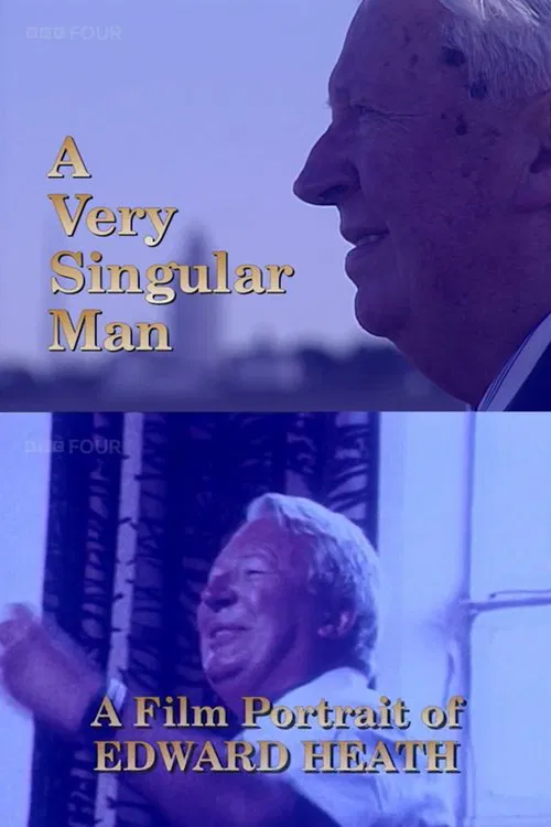 A Very Singular Man movie poster