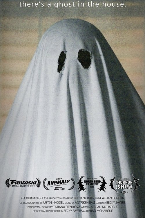 There's a Ghost in the House movie poster