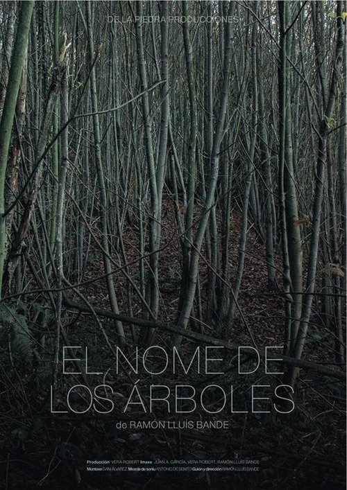 El nome de los árboles movie poster