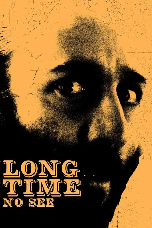 Poster do filme Long Time No See