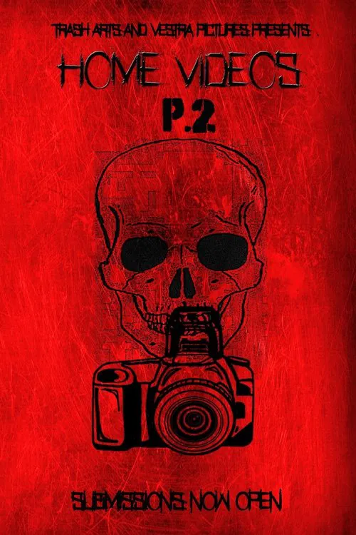 Home Videos 2 movie poster