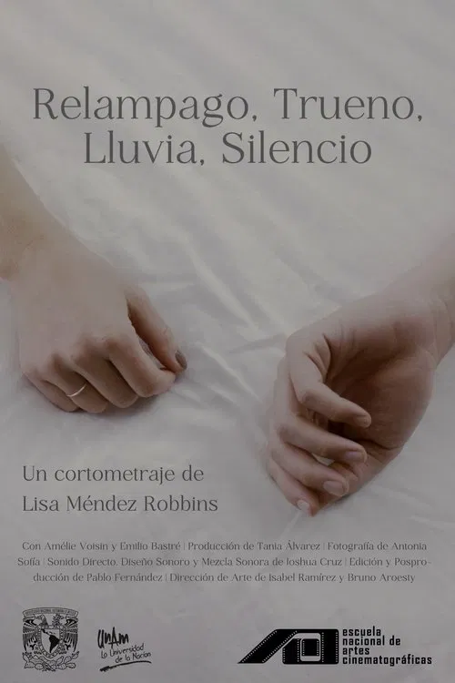 Poster do filme Silence After Storm