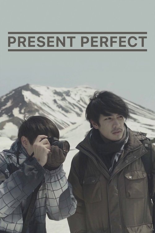 Present Perfect movie poster