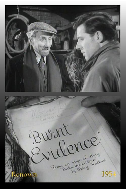 Burnt Evidence movie poster