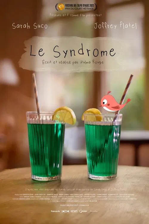 Le Syndrome movie poster