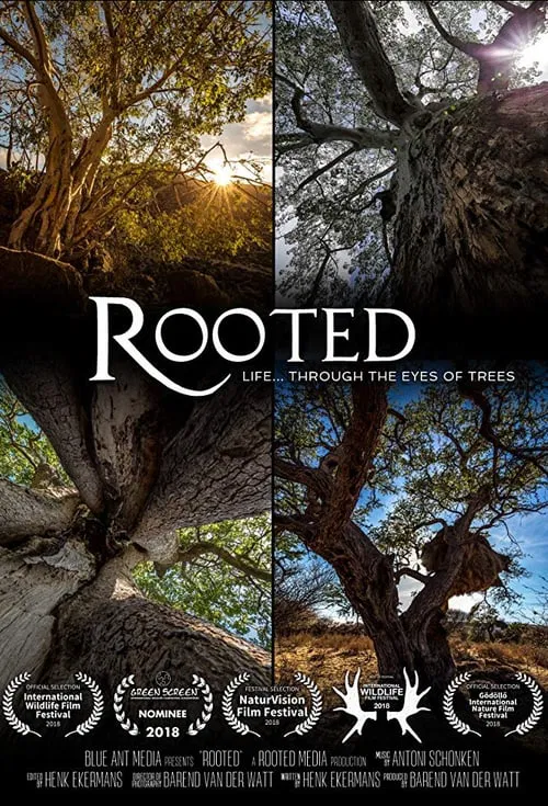 Rooted tv show poster