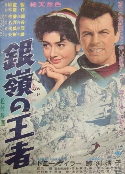 Storm on the Silvery Peaks movie poster
