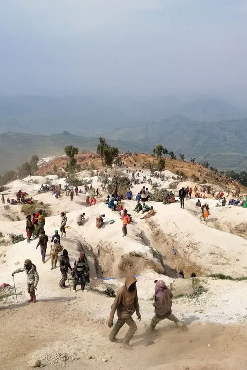 Poster do filme The Diggers