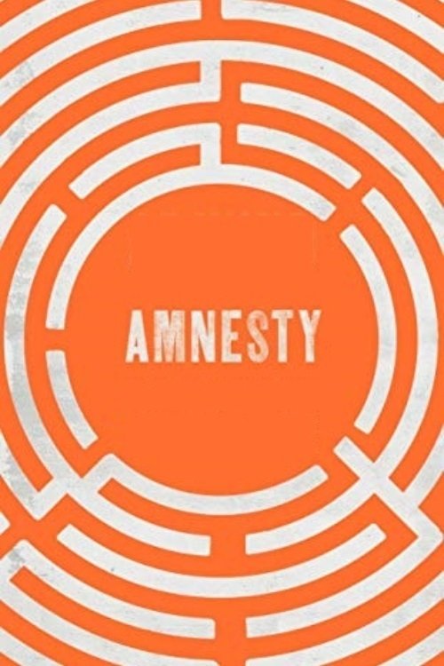 Amnesty movie poster