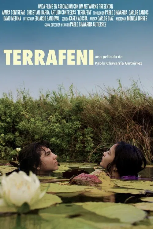 Terrafeni movie poster