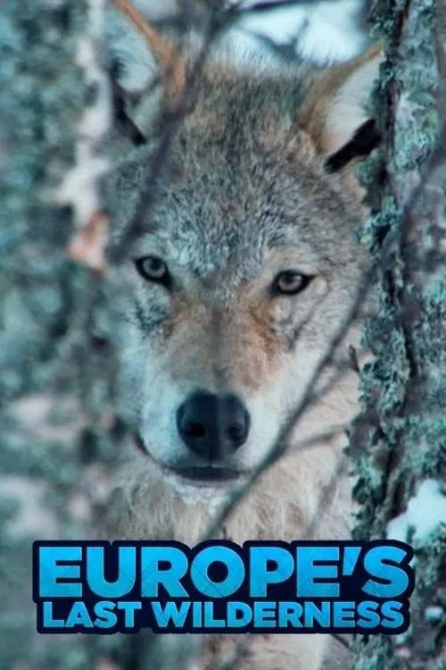 Europe's Last Wilderness movie poster