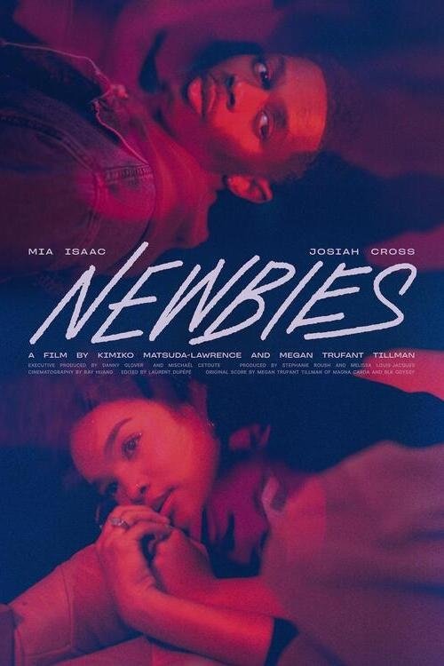 Newbies movie poster