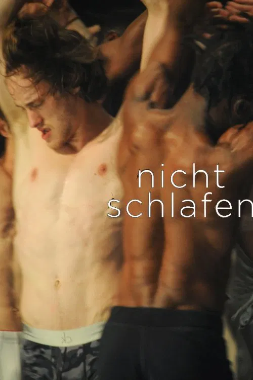 Poster do filme Alain Platel: Nicht Schlafen