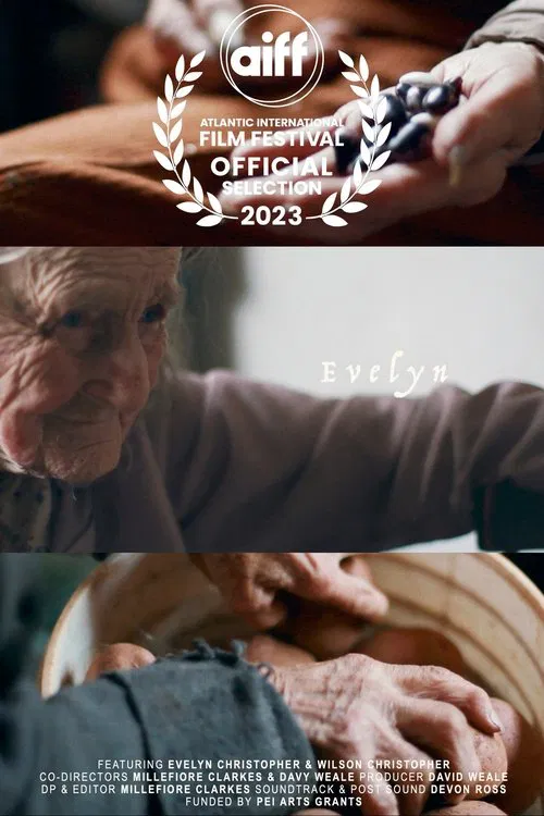 Evelyn movie poster