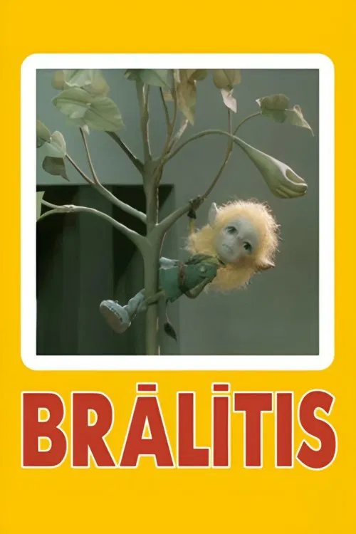 Brother movie poster