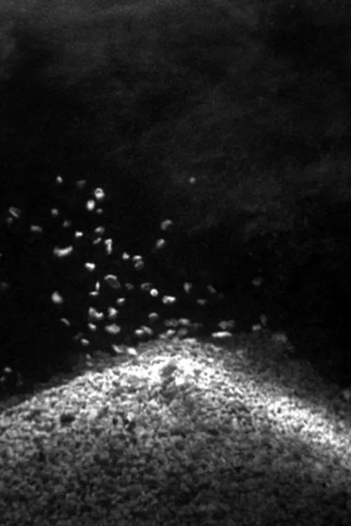 Victory Over the Sun movie poster