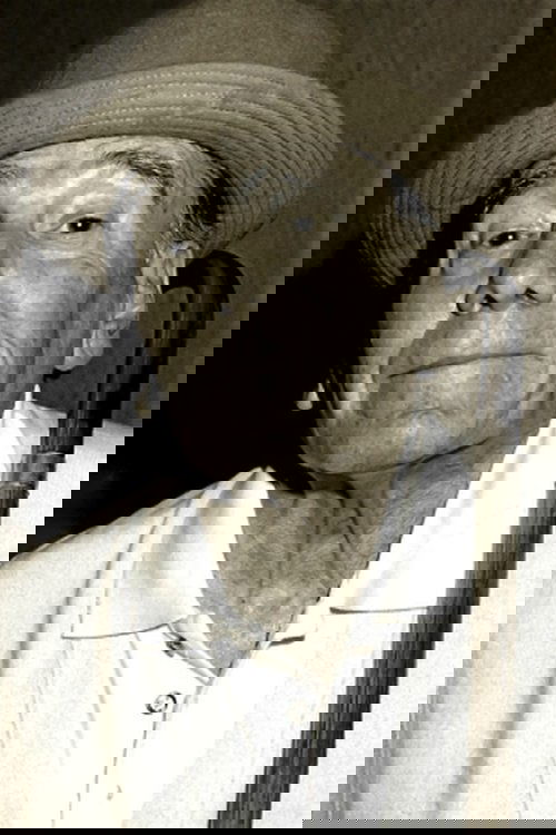 Pietro De Vico profile picture