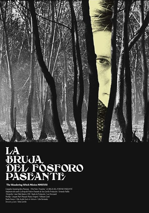The Wandering Witch movie poster