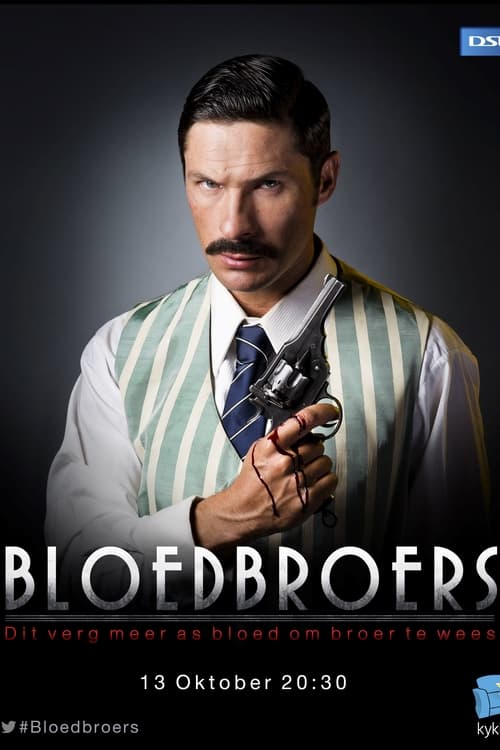 Bloedbroers tv show poster