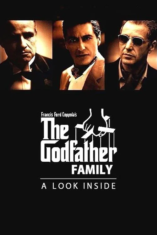 The Godfather Family: A Look Inside movie poster