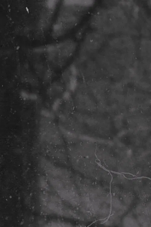 Station movie poster