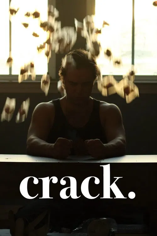 crack. movie poster