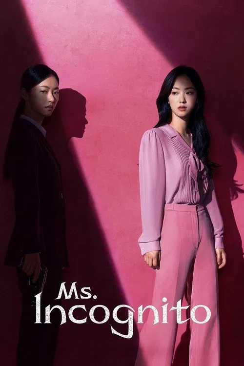 Ms. Incognito tv show poster