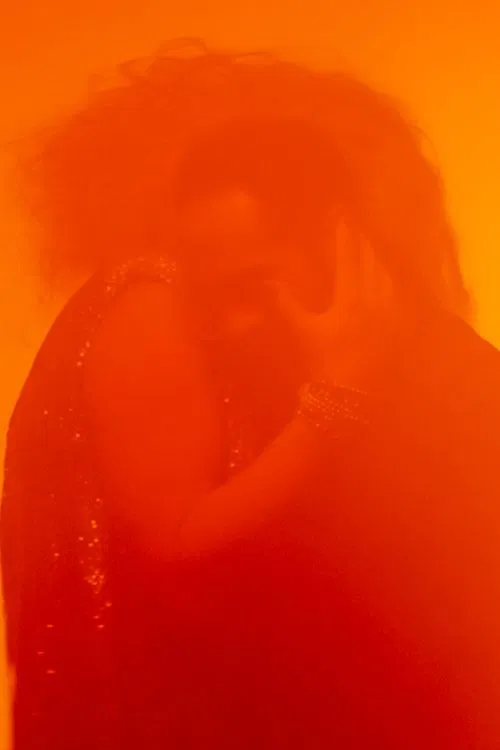 Poster do filme Crash and Burn, Honey