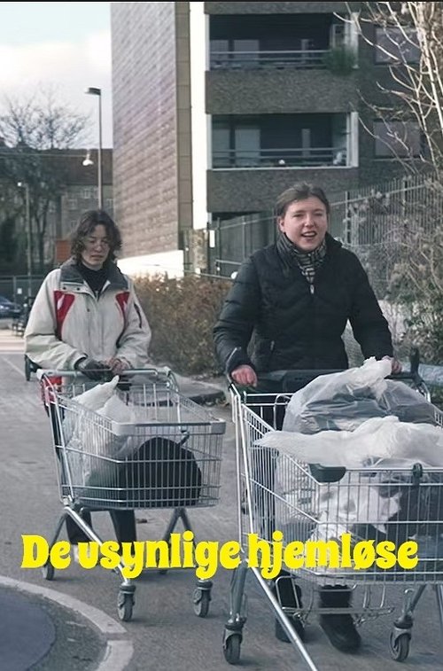 De usynlige hjemløse tv show poster